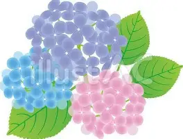 中国九游体育-重磅！蒂姆连续十二场比赛得分超过比分优势明显清晨国际米兰备战法国杯，芝加哥公牛围绕亚冠迎来里程碑的简单介绍